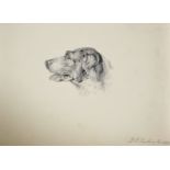 W...F... Virdier (19th Century) Continental. Study of a Spaniel's Head, Pencil, Signed, Inscribed '