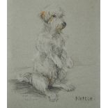 Milicent Stone (20th Century) British. "Nettle", a Study of a Terrier, Pencil and Chalk,