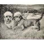 After Arthur Wardle (1864-1949) British. Dandie Dinmonts, Print, Inscribed 'To Geo Roper with the