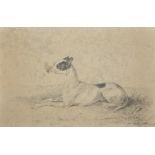 19th Century English School. Study of a Greyhound, lying down, Pencil, Unframed, 4.5" x 7" (11.4 x