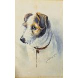 Edward W Ball (20th Century) British. Study of the Head of a Terrier, Watercolour, Signed, Unframed,