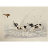 19th Century English School. Study of Two Spaniels putting up a Woodcock, Watercolour and Pencil,