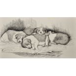 E... H... Lodge (19th Century) British. Study of Sleeping St Bernard Puppies, Ink, Signed with