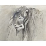 William Lock The Younger (1767-1847) British. A Lion's Head, Watercolour, Pen and Brown Ink,