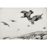Winifred Marie Louise Austin (1876-1964) British. Red Grouse in Flight over a Moor, Drypoint