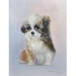 Jacky (20th Century) British. Study of a Puppy, Oil on Canvas, Signed, 10" x 8" (25.4 x 20.3cm