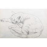 Fyffe Christie (1918-1979) British. "Carmen, the Artist's Cat", Pencil, Inscribed on labels on the