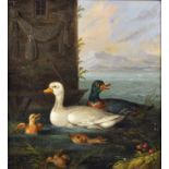 Franz Walter Foerg (1812-1844) German. A Duck with Her Chicks, Oil on Panel, Signed and Indistinctly
