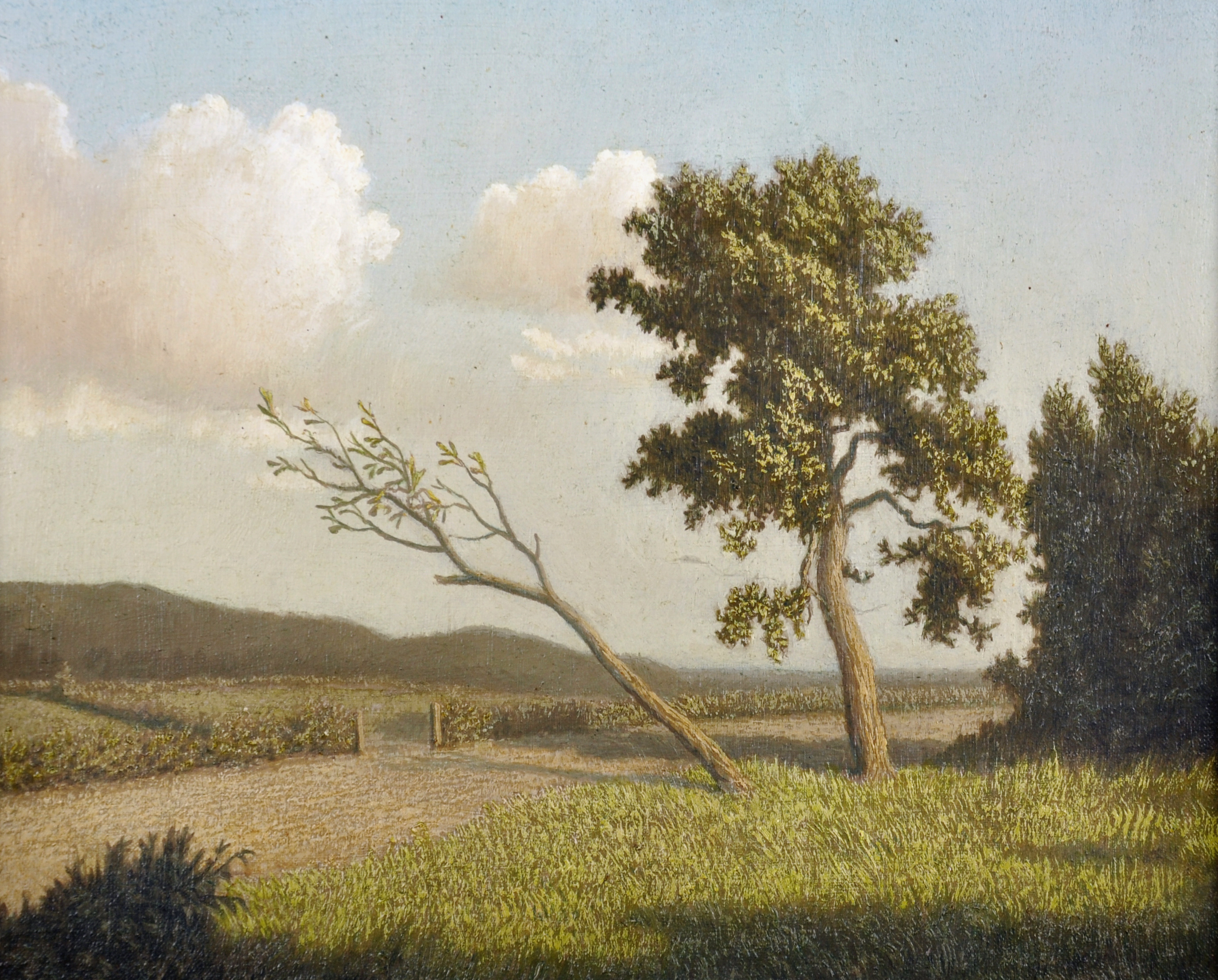 Algernon Cecil Newton (1880-1968) British. 'A Country Path', Oil on Windsor and Newton's Rathbone