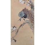 Koson Ohara (1877-1945) Japanese. A Peacock on a Flowering Cherry Blossom Tree, Woodblock,