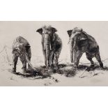 Leonard Robert Brightwell (1889-1983) British. “Kings in Exile”, Three Circus Elephants, Etching,