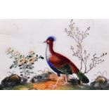 19th Century Chinese School. An Exotic Bird, Mixed Media on Rice Paper, 5” x 8” (12.6 x 20.3cm), and