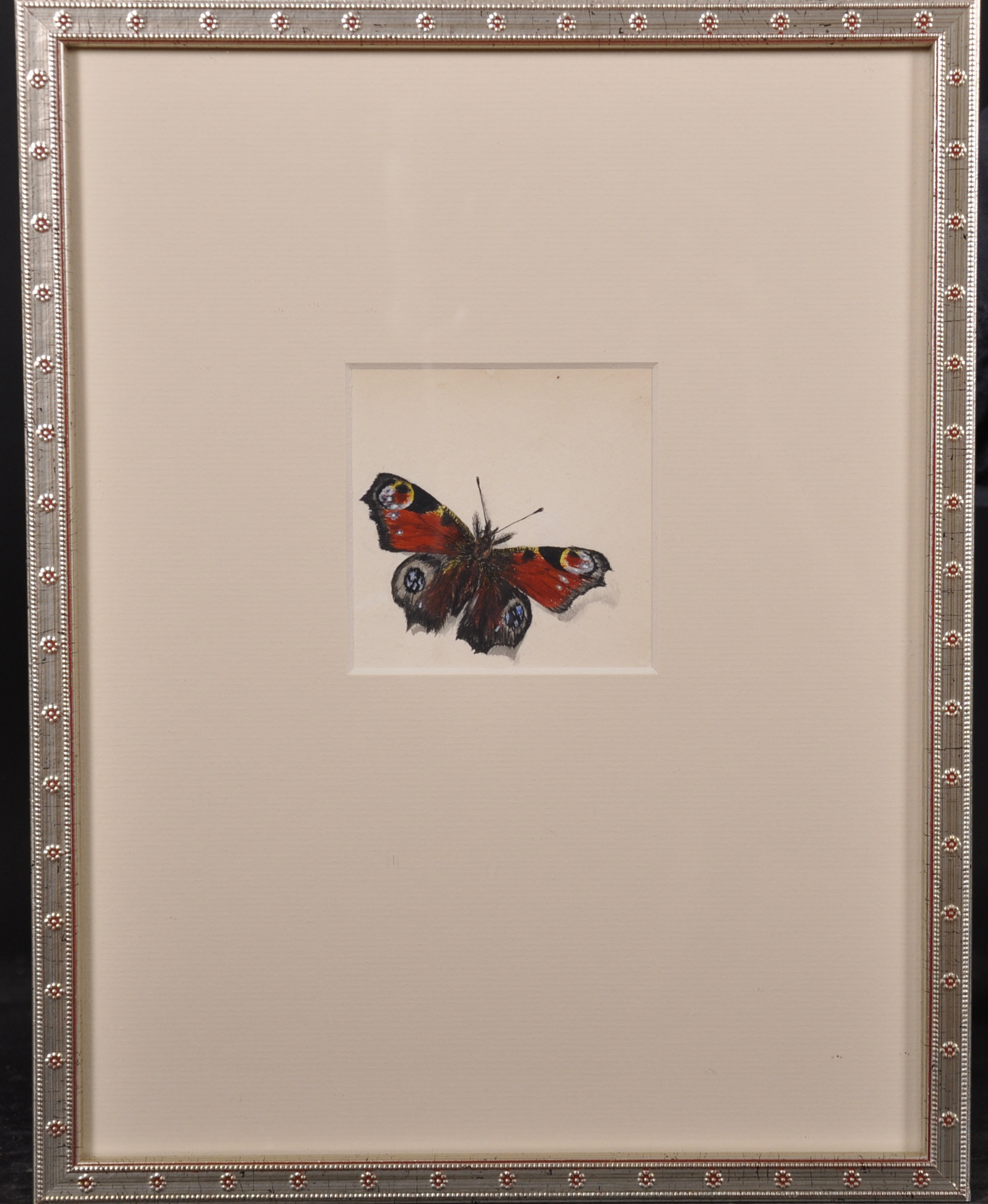 Early 19th Century English School. Study of a Butterfly and Caterpillar, Watercolour, Dated ‘June - Image 3 of 9