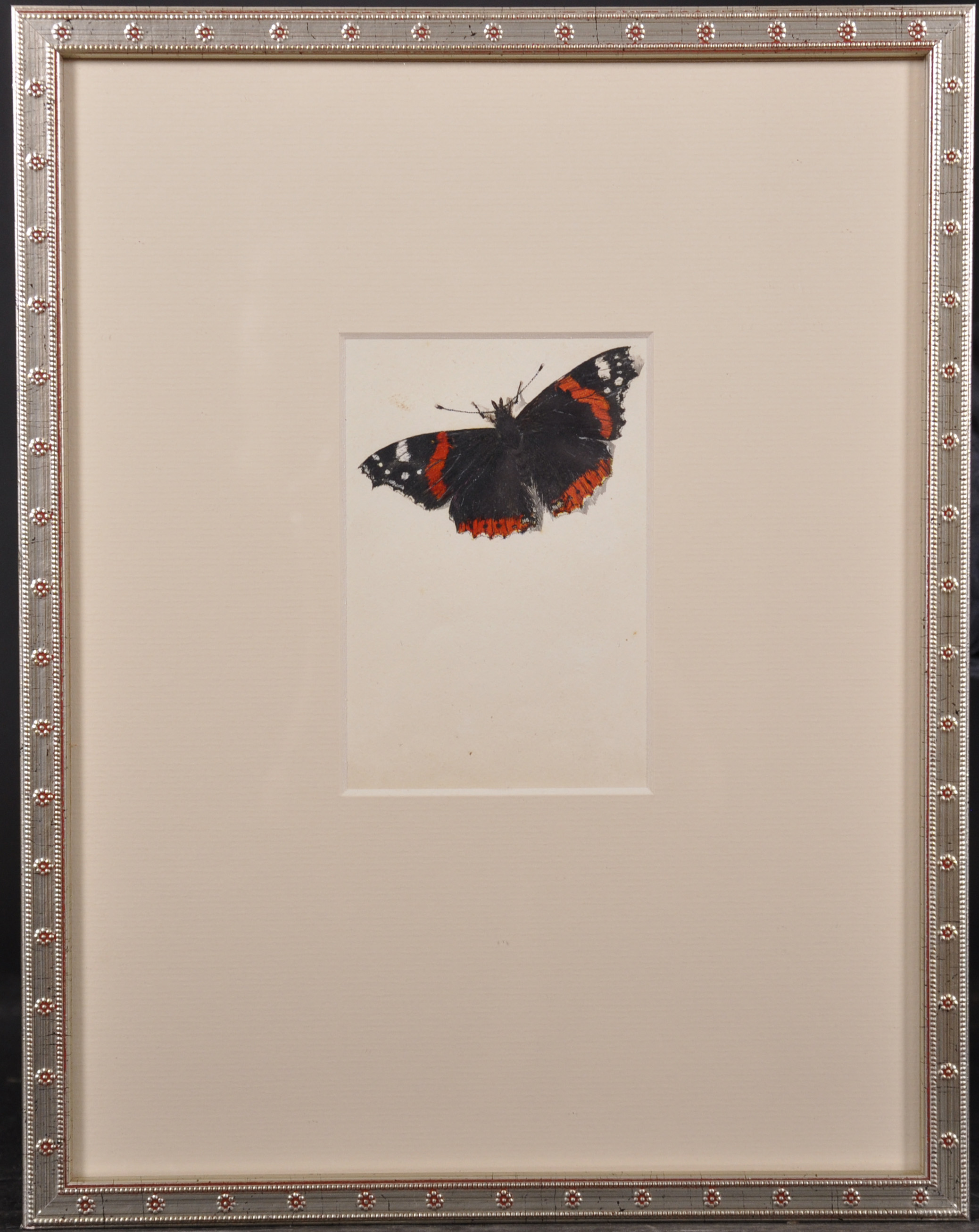 Early 19th Century English School. Study of a Butterfly and Caterpillar, Watercolour, Dated ‘June - Image 2 of 9
