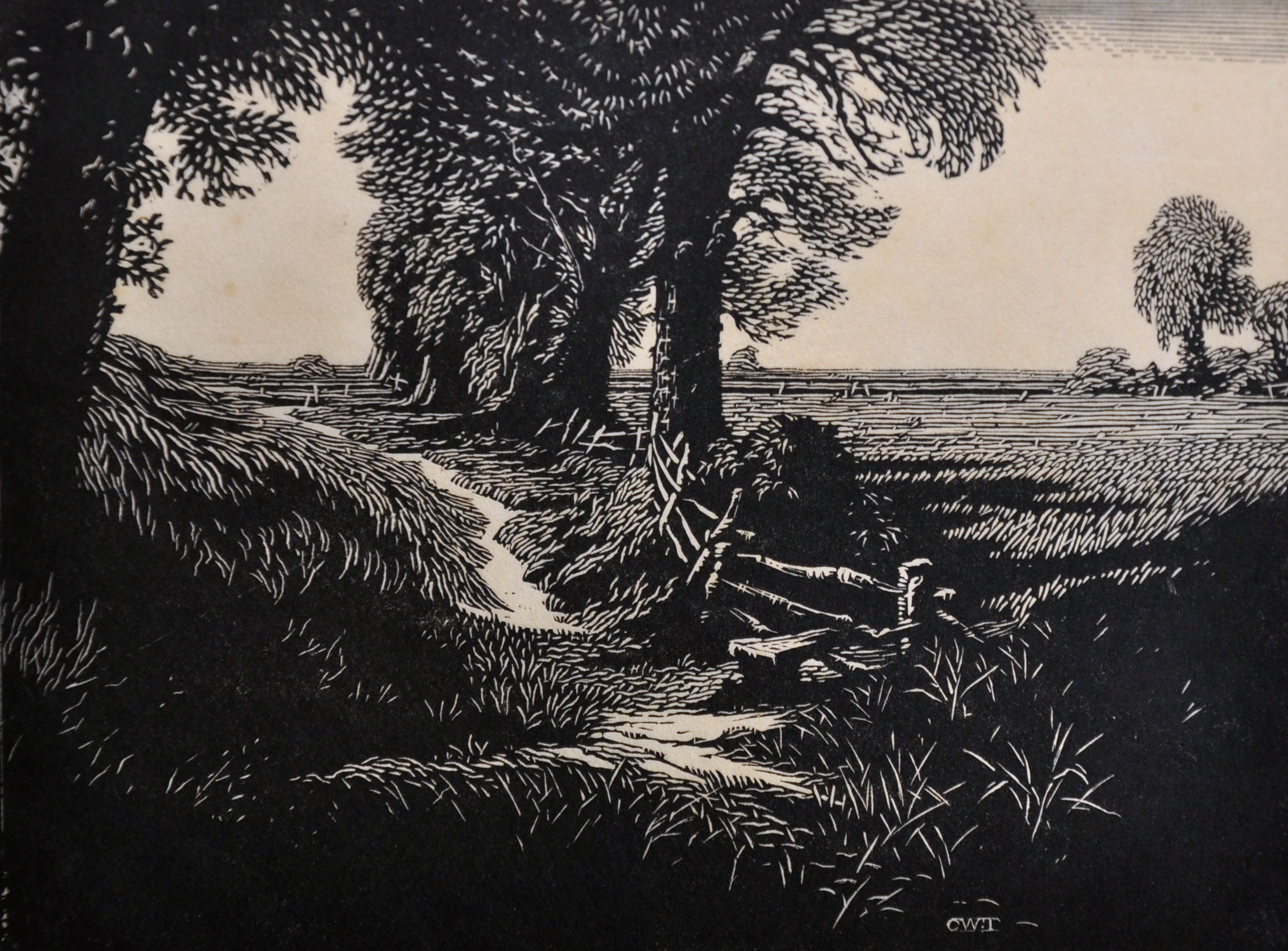 Charles William Taylor (1878-1960) British. “Essex”, Woodcut, Signed and Inscribed in Pencil, - Image 2 of 6