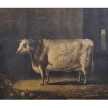 After Percy Forster (19th Century) British. “Portrait of the Short Horned Cow, Bracelet”, Print,