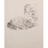 Eileen Soper (1905-1990) British. Study for a Large Tabby Tom Cat, Pencil and Charcoal, with a