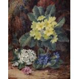 Oliver Clare (1853-1927) British. Study of Primroses, Violets and Hellebores, Oil on Canvas, Signed,