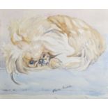 Athene Andrade (1908-?) British. Study of a Curled up Pekingese, Watercolour, Signed, Unframed, 9.5”