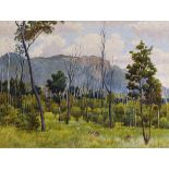 Ernest Carter (19th – 20th Century) Australian. “Biggenden Bluff Range, from Westhock Paddocks”