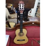 Eleco acoustic guitar.