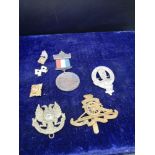 Lot of military badge s and medal etc.