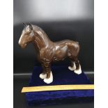 Large Beswick shire horse. Stands 10.5 inches in height.