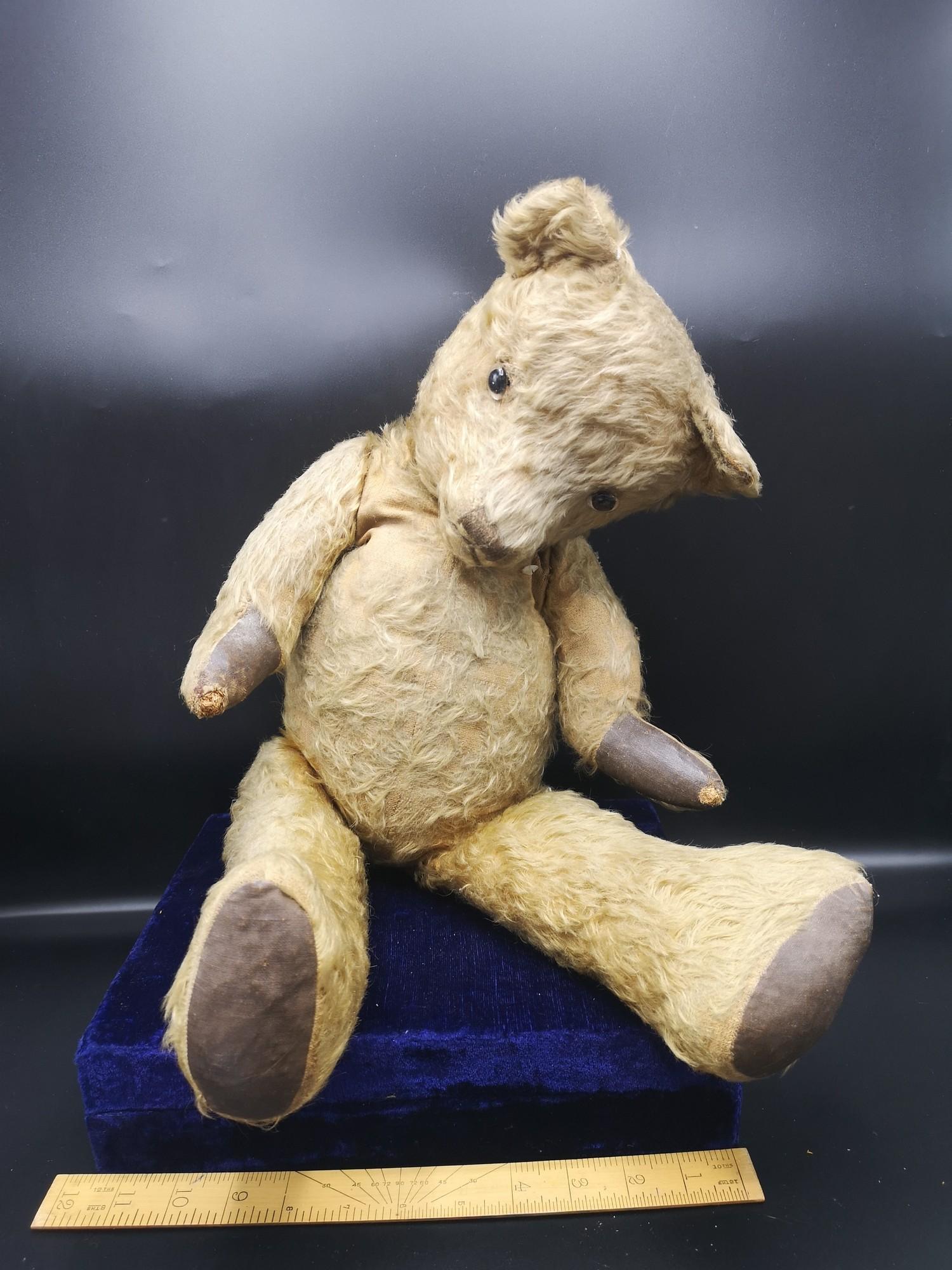 Antique Teddy with jointed limbs and hump back and glass eyes.