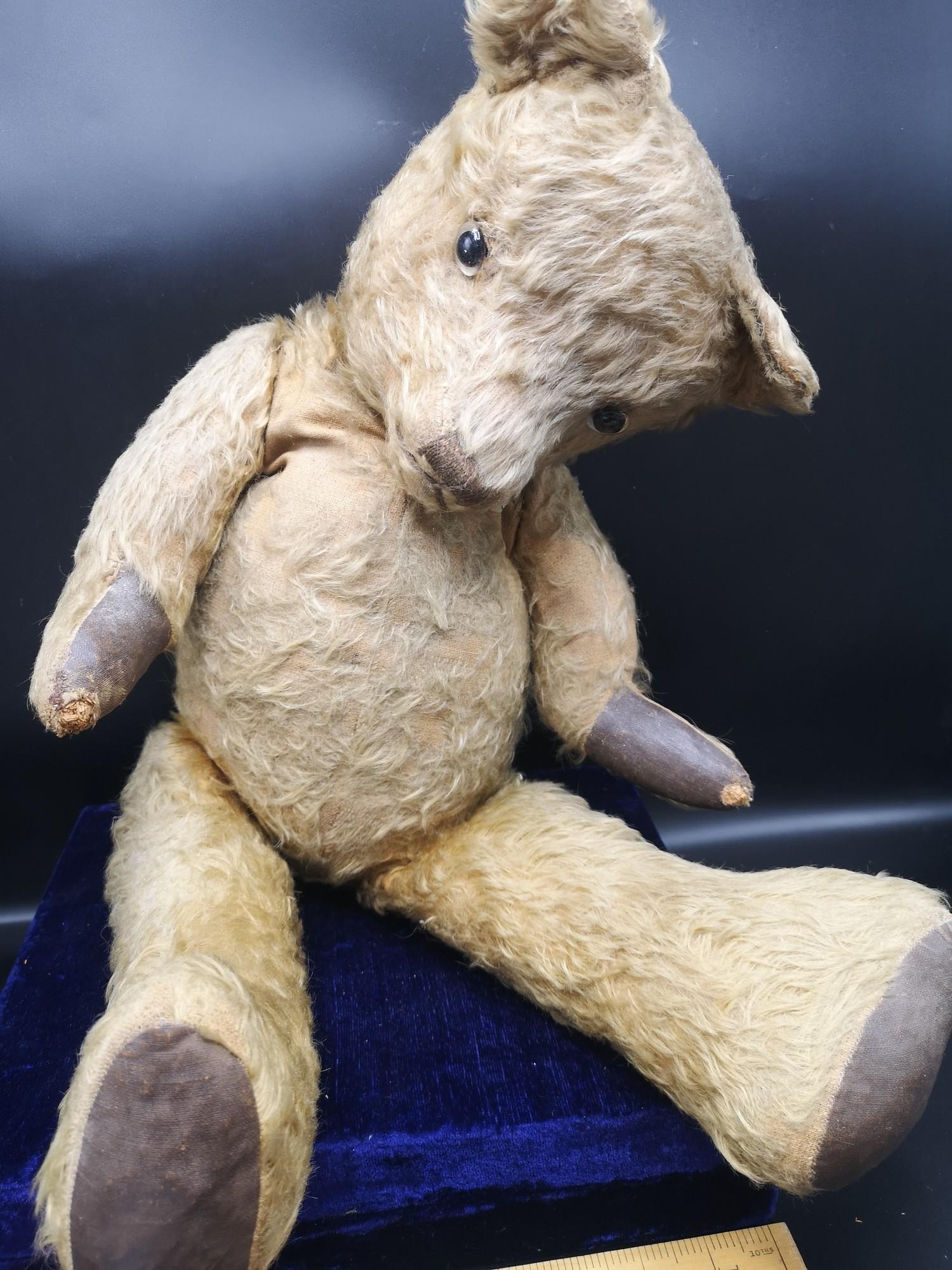 Antique Teddy with jointed limbs and hump back and glass eyes. - Image 3 of 3