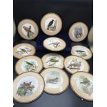 Set of 12 Early 1900s hand tinted bird scene place mates.