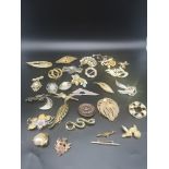 Collection of brooches.