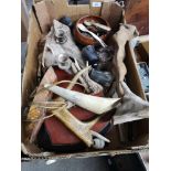 Box of interesting table lamps includes stag antler lamp.