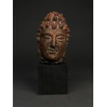 GANDHARA BRONZE HEAD