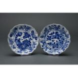 CHINESE QING BLUE AND WHITE PORCELAIN PLATES