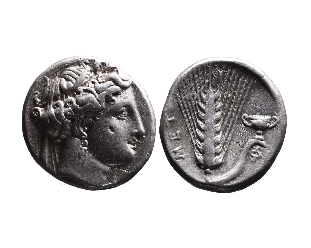 Ancient Greek AR nomos Metapontum