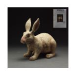 CHINESE HAN DYNASTY TERRACOTTA RABBIT - TL TESTED