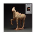 CHINESE TANG DYNASTY HORSE FIGURE - TL TESTED