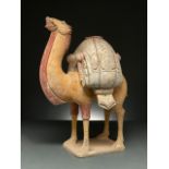 CHINA, TANG DYNASTY LARGE POTTERY BACTRIAN CAMEL - TL TESTED