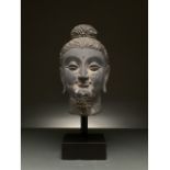 GANDHARA SCHIST LIFE-SIZE HEAD OF BUDDHA – SUPERB