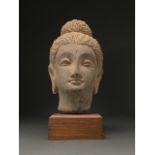 GANDHARA, SCHIST STONE HEAD OF BUDDHA