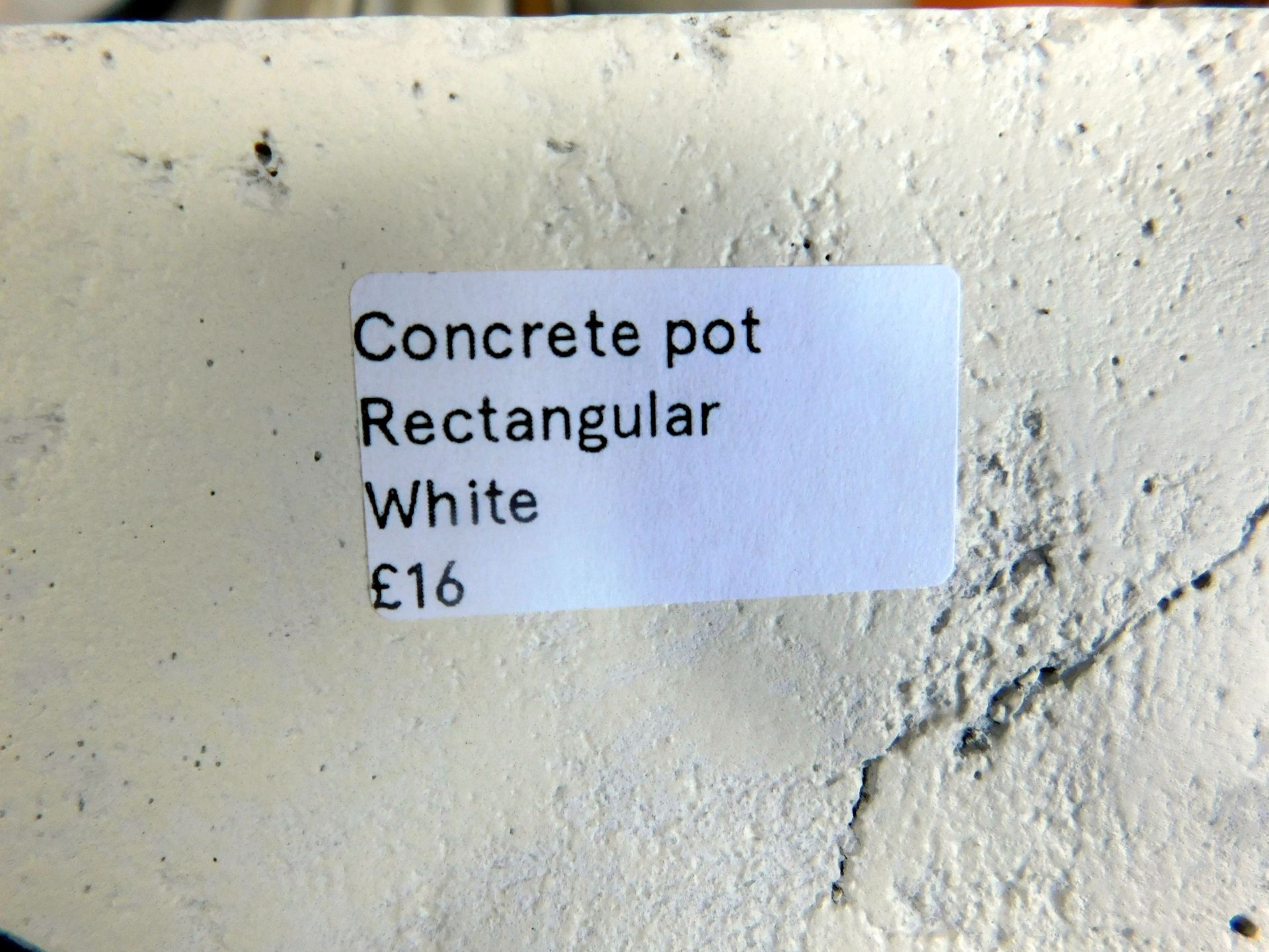 Twenty Two Various Concrete Pots (Located Brentwood, See General Notes for More Details) - Image 6 of 10