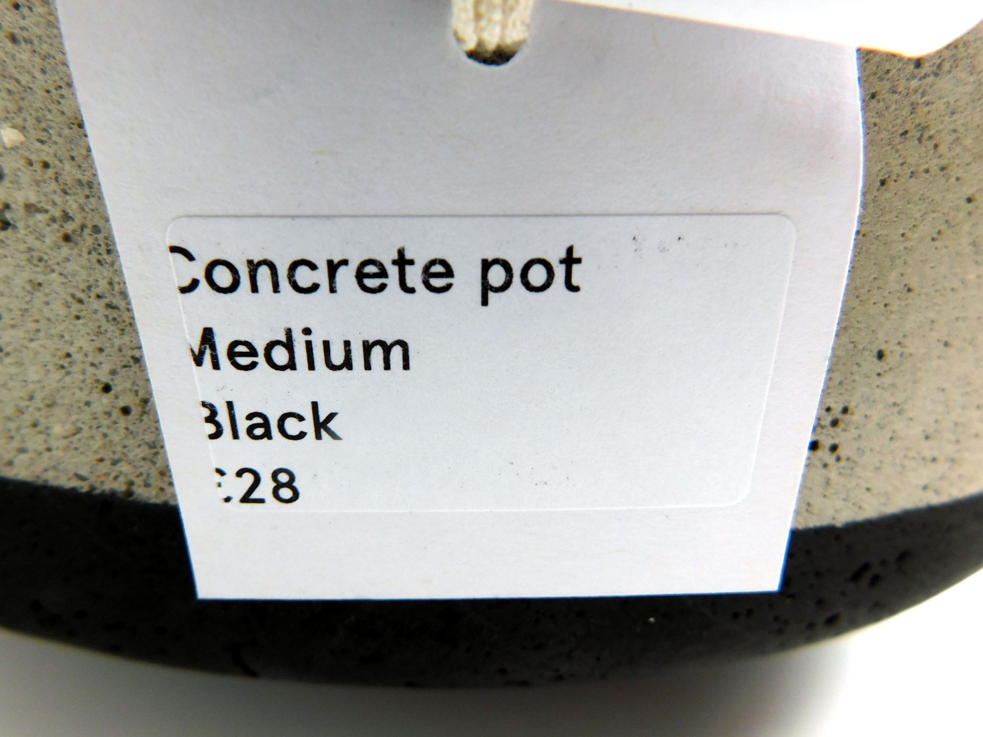 Twenty Two Various Concrete Pots (Located Brentwood, See General Notes for More Details) - Image 10 of 10