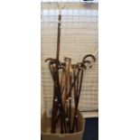 Collection of assorted walking sticks, walking canes, Welsh regiment swagger stick etc. Some