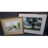 T Moore, tree in a landscape, signed, watercolours. 34 x 50cm approx. Together with another signed