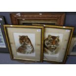 After Helena Maguire, wild animal studies, leopard and tiger, a pair, coloured prints, signed in the