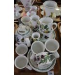 A tray of Portmeirion pottery 'The Botanic Garden' design items, various to include; cups,