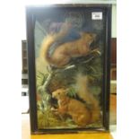 Taxidermy - cased specimen pair of red squirrels amongst rocks and foliage. (B.P. 21% + VAT)