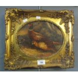 Brace of pheasants in a woodland, oils on board, unsigned, gilt moulded foliate frame. Possibly an