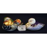 Royal Crown Derby bone china paperweight, 'Mandarin Duck', together with another Royal Crown Derby