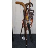 Collection of walking sticks together with a shooting stick and a hockey stick . (B.P. 21% + VAT)